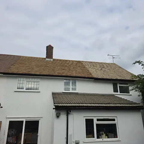 Roof cleaning