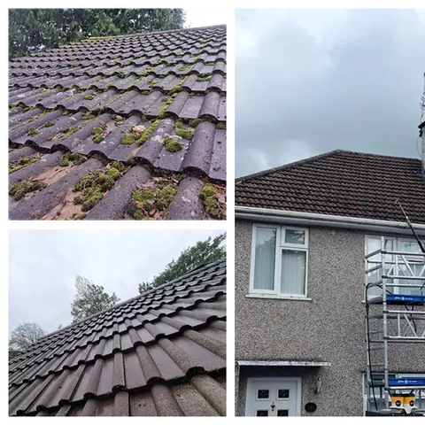 Roof cleaning
